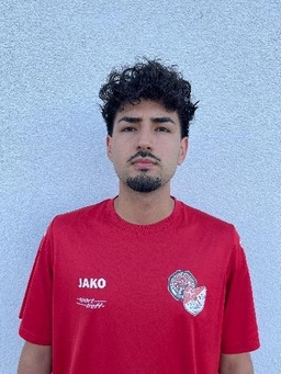 Avatar Bild für Sayed Amir Hossaini