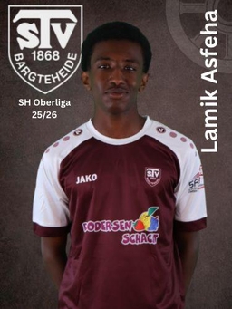 Avatar Bild für Lamik Bereket Asfeha