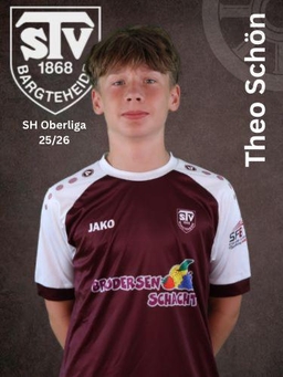 Avatar Bild für Theo Schön