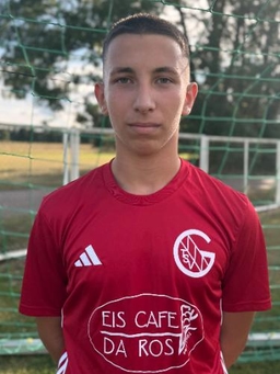 Avatar Bild für Radomir Pavlovic