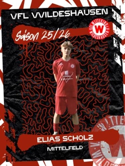 Avatar Bild für Elias Scholz
