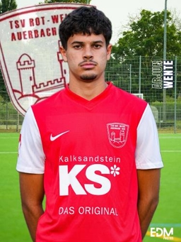 Avatar Bild für Arjun Nadkarni Wente