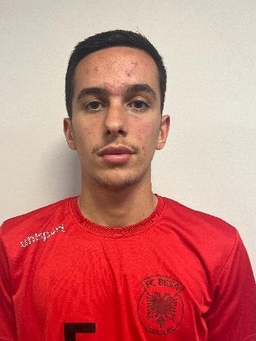 Avatar Bild für Getuard Shurdhiqi