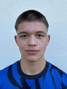 Avatar Bild für Gennaro Crisopulli