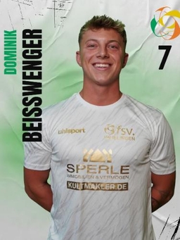 Avatar Bild für Dominik Beisswenger