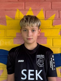 Avatar Bild für Felix Stein