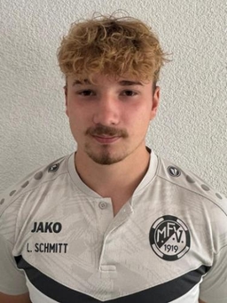 Avatar Bild für Lion Schmitt