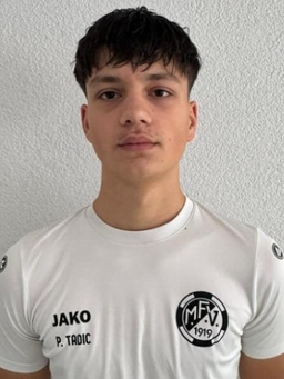 Avatar Bild für Pero Tadic