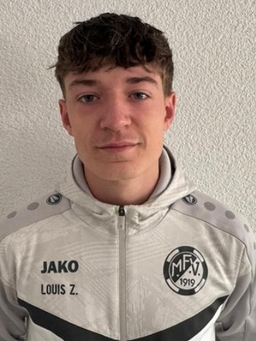 Avatar Bild für Louis Zipf