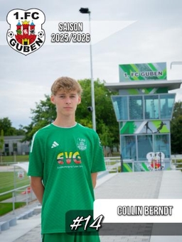 Avatar Bild für Collin Berndt