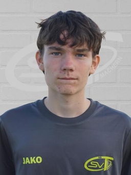 Avatar Bild für Ossian Franke