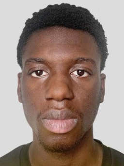 Avatar Bild für Prince Nolan Nianga Angonia