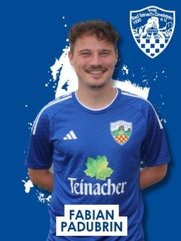 Avatar Bild für Fabian Padubrin