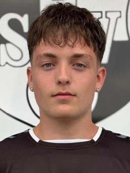 Avatar Bild für Luan Pietro Berriat