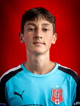 Avatar Bild für Vincent Gestro