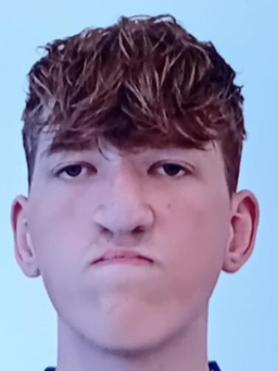 Avatar Bild für Niclas Bixby
