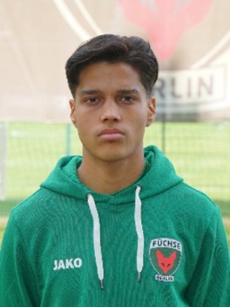 Avatar Bild für Amir Mohammad Habibi