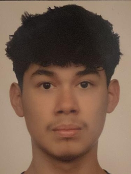 Avatar Bild für Walter Alessio Villanueva Salinas