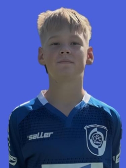 Avatar Bild für David Topalovic