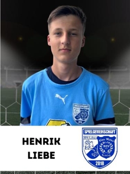 Avatar Bild für Henrik Liebe