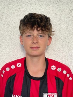 Avatar Bild für Raphael Volk