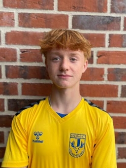 Avatar Bild für Linus Tiede