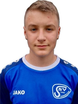 Avatar Bild für Dominik Karl Diekmann