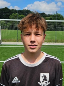 Avatar Bild für Theo Voss