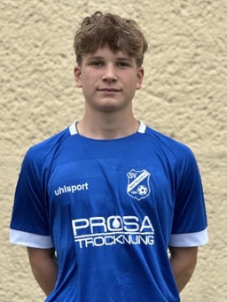 Avatar Bild für Pippin Hanske