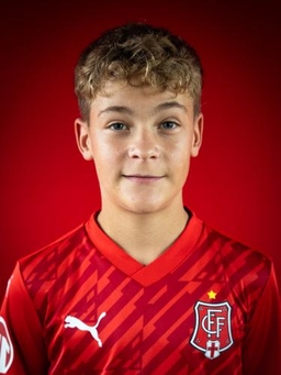 Avatar Bild für David Soltan