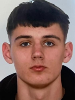 Avatar Bild für Daniil Moiseienko