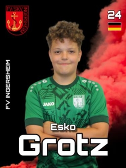 Avatar Bild für Esko Grotz