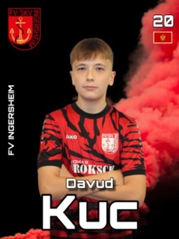 Avatar Bild für Davud Kuc