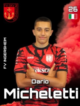 Avatar Bild für Dario Micheletti