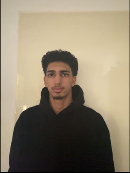 Avatar Bild für Arastoo Salehi Siavashani