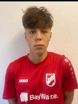 Avatar Bild für Dario Smoljan