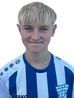 Avatar Bild für Dominik Jason Herzig