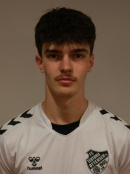 Avatar Bild für Ilian Fischer