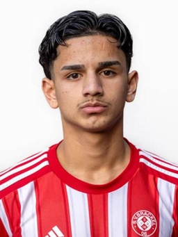 Avatar Bild für Hussain Safieh