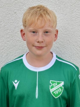 Avatar Bild für Nils Bollinger