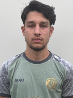 Avatar Bild für Elisei Teofil Alexe