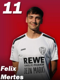 Avatar Bild für Felix Mertes