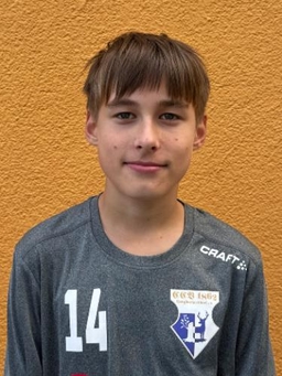 Avatar Bild für Carl Louis Altmann