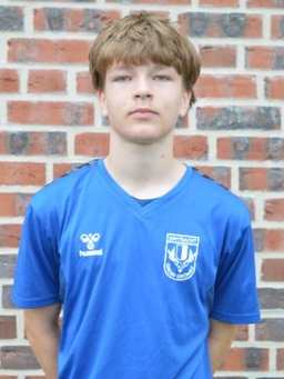 Avatar Bild für Fernando Scharwies