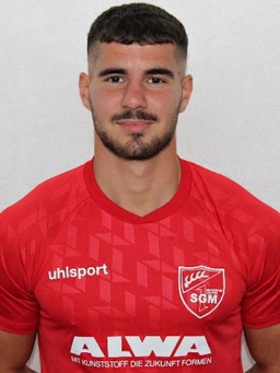 Avatar Bild für Renato Vieira Silva