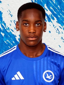 Avatar Bild für Collins Agyemang Junior Nimako