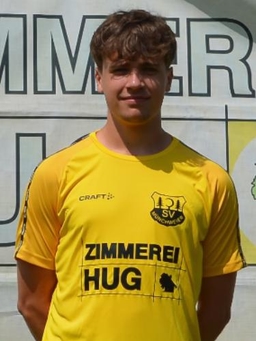 Avatar Bild für Victor Niemann