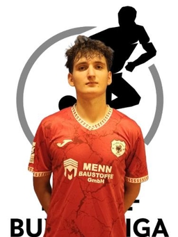 Avatar Bild für Alen Jakupovic