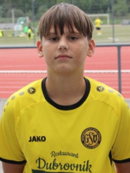 Avatar Bild für Vito Velimir Cerovic