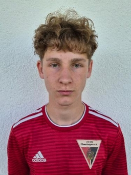 Avatar Bild für Luca Scheu